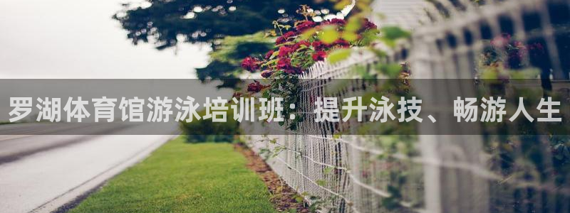 焦点娱乐平台怎么样赚钱：罗湖体育馆游泳培训班：提升泳