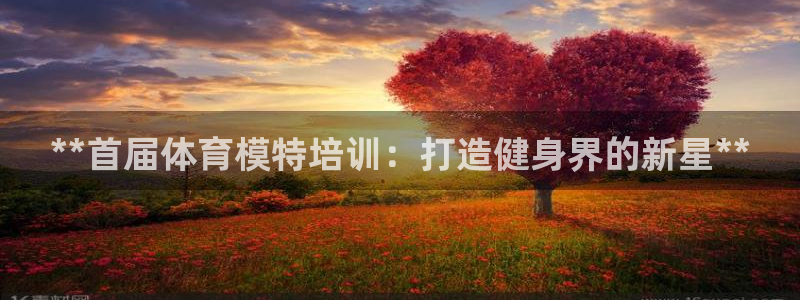 焦点娱乐软件版本