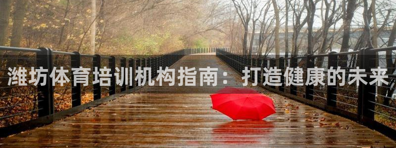 焦点娱乐官方网站首页入口