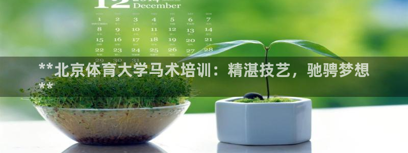 焦点娱乐说说文案：**北京体育大学马术培训：精湛技艺