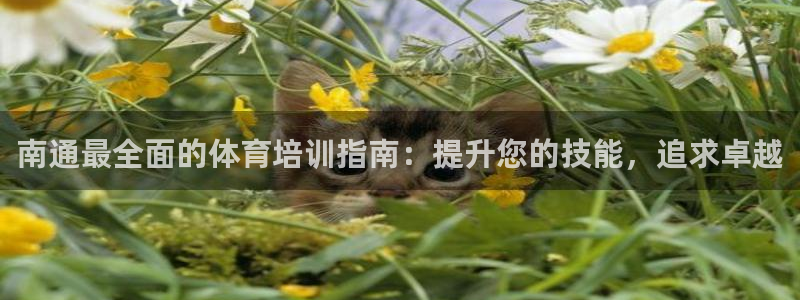 焦点娱乐传媒有限公司怎么样啊：南通最全面的体育培训指