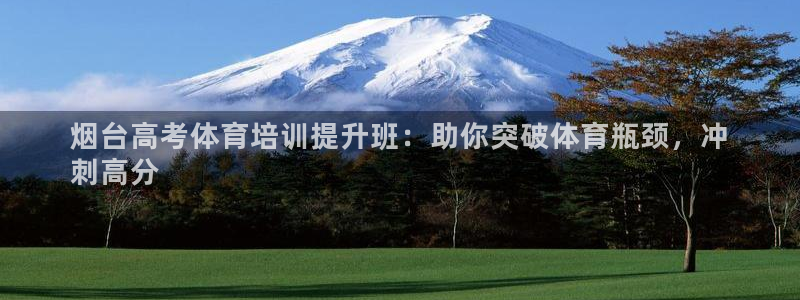 焦点娱乐公司的发展历程