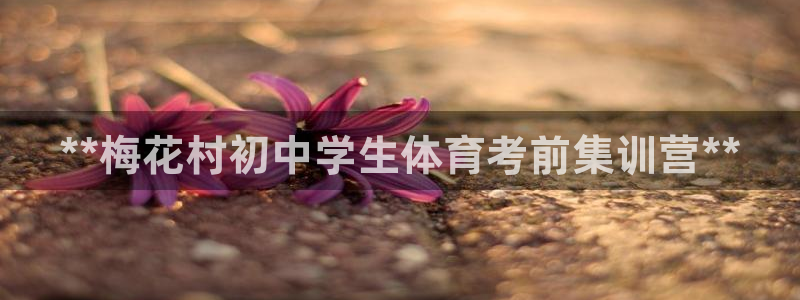 焦点娱乐门徒娱乐骗局揭秘