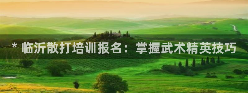 焦点娱乐平台注册账号安全吗可靠吗：* 临沂散打培训报