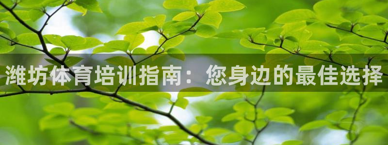 焦点娱乐无法提现怎么办：潍坊体育培训指南：您身边的最