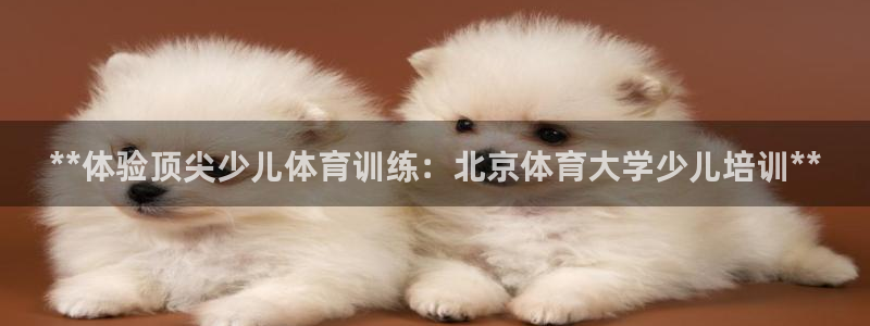 焦点娱乐传媒有限公司怎么样啊