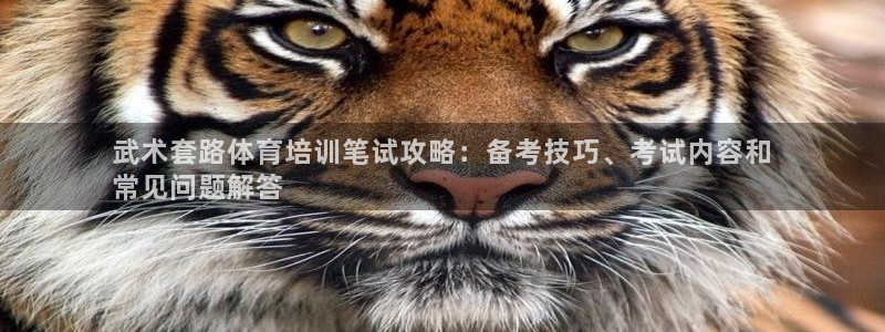 焦点娱乐平台任7O777