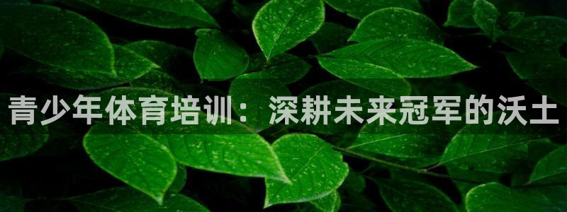 焦点娱乐vs皇族不败神话小说：青少年体育培训：深耕未