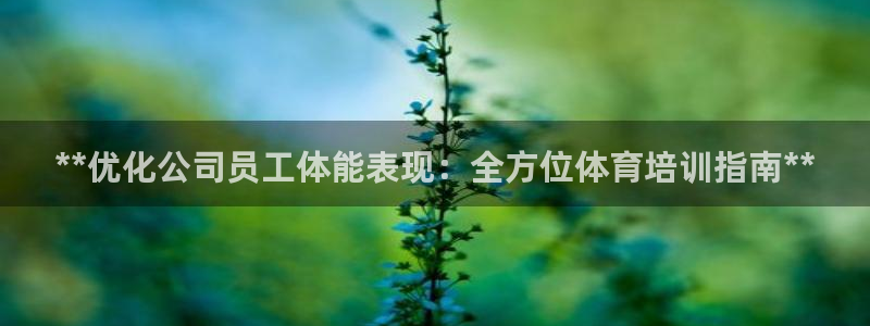 焦点娱乐app下载官网最新版：**优化公司员工体能表