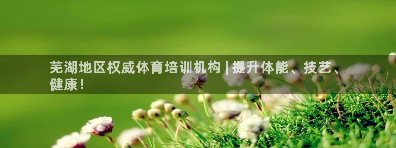 焦点娱乐平台西7O777：芜湖地区权威体育培训机构 