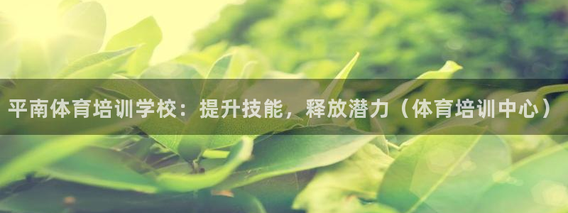 焦点娱乐违法吗：平南体育培训学校：提升技能，释放潜力