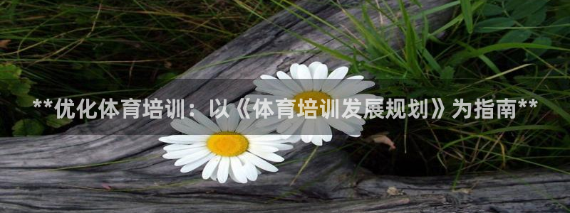 焦点娱乐公司简介资料：**优化体育培训：以《体育培训