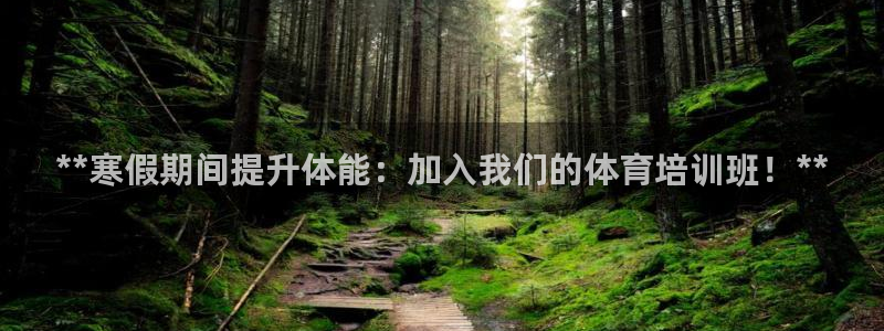 焦点娱乐游戏攻略：**寒假期间提升体能：加入我们的体