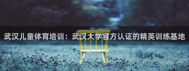 焦点娱乐下载手机版：武汉儿童体育培训：武汉大学官方认