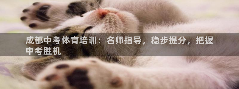 焦点娱乐公司：成都中考体育培训：名师指导，稳步提分，