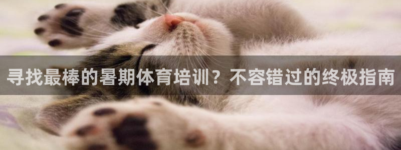 焦点娱乐公司简介图片：寻找最棒的暑期体育培训？不容错