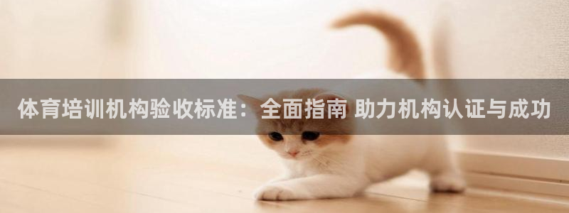焦点娱乐游戏攻略视频：体育培训机构验收标准：全面指南