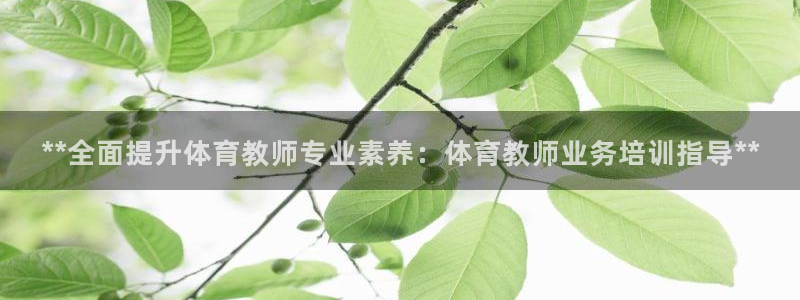 焦点娱乐有限公司：**全面提升体育教师专业素养：体育