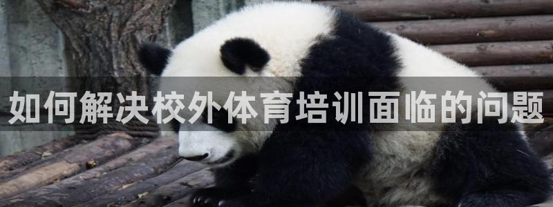 焦点娱乐平台总代理开户：如何解决校外体育培训面临的问
