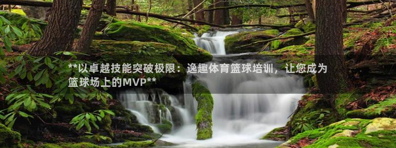 焦点娱乐拉菲：**以卓越技能突破极限：逸趣体育篮球培
