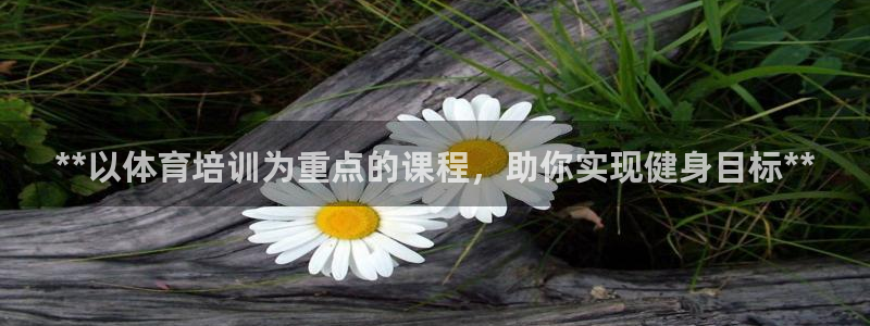 焦点娱乐传媒有限公司怎么样：**以体育培训为重点的课