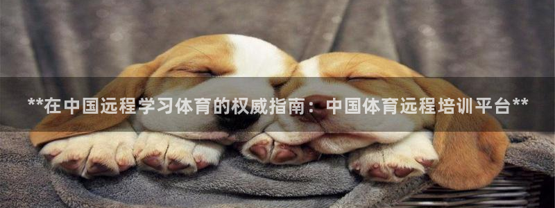 焦点娱乐游戏怎么玩教程：**在中国远程学习体育的权威