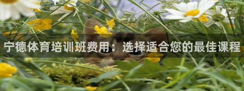焦点娱乐公司的发展历程简述：宁德体育培训班费用：选择