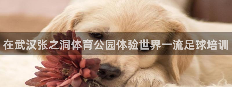焦点娱乐app下载安装方式是什么
