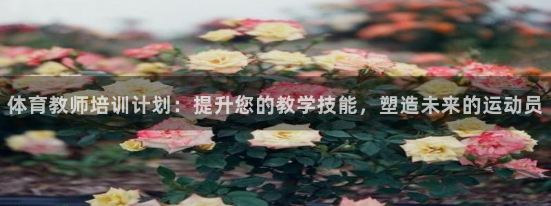 焦点娱乐官方网站首页：体育教师培训计划：提升您的教学