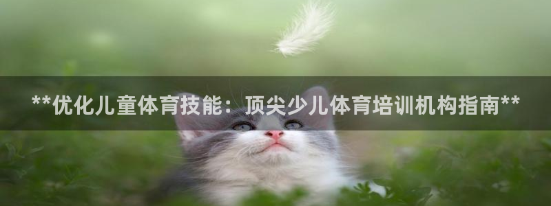 焦点娱乐平台西7O777：**优化儿童体育技能：顶尖