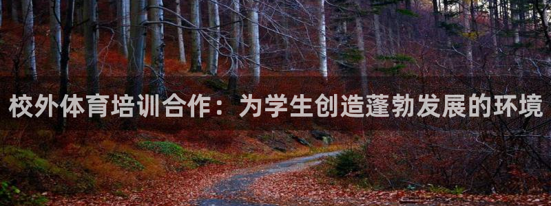焦点娱乐全国总冠军：校外体育培训合作：为学生创造蓬勃