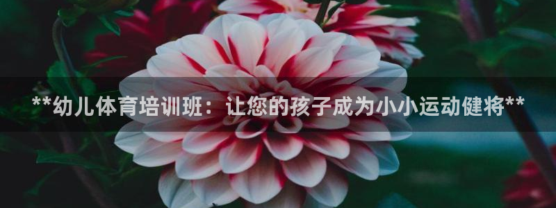 焦点娱乐总代理在哪：**幼儿体育培训班：让您的孩子成