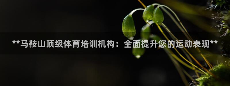 焦点娱乐官方网站下载：**马鞍山顶级体育培训机构：全