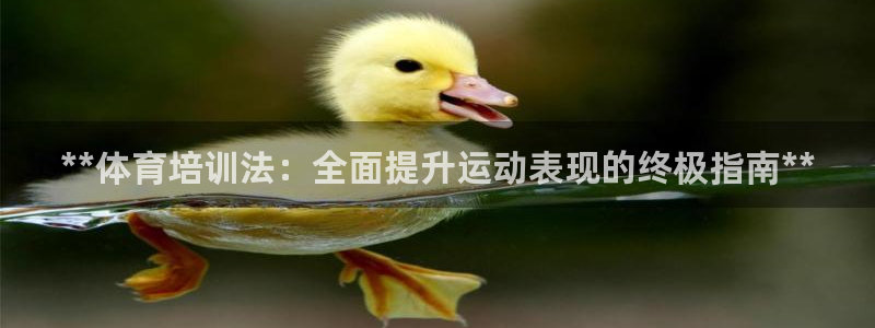 焦点娱乐有限公司官网：**体育培训法：全面提升运动表