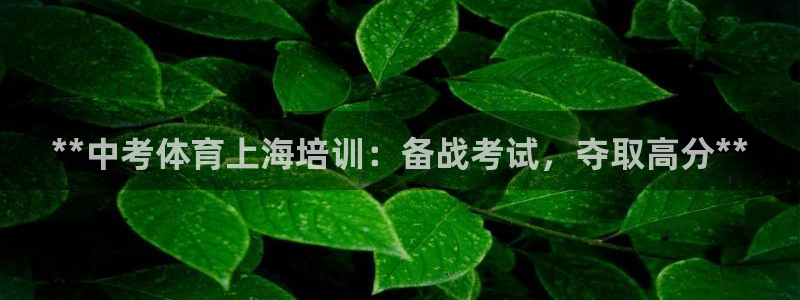 焦点娱乐拉菲