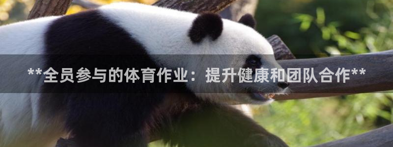 焦点娱乐拉菲11月11日