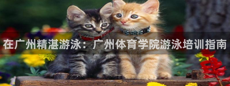 焦点娱乐官方网站下载