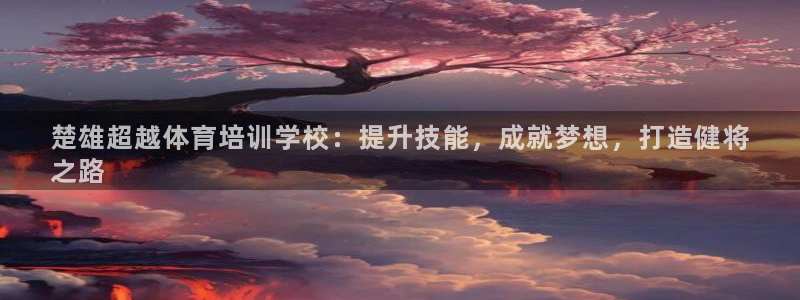 焦点娱乐网站下载地址：楚雄超越体育培训学校：提升技能
