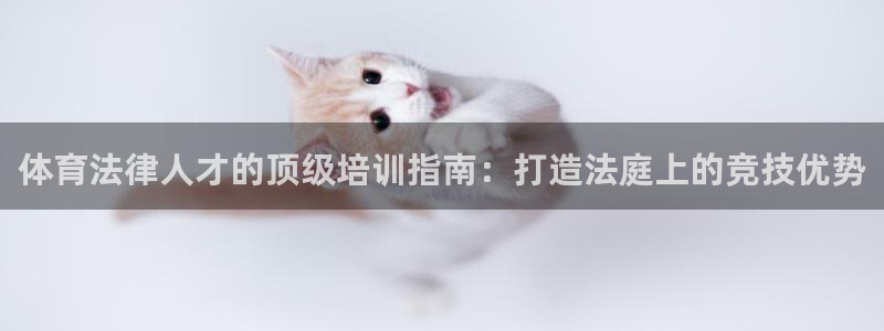 焦点娱乐有限公司招聘：体育法律人才的顶级培训指南：打