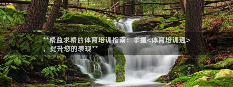 焦点娱乐有限公司招聘：**精益求精的体育培训指南：掌