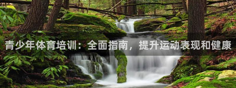 焦点娱乐公司简介图片：青少年体育培训：全面指南，提升