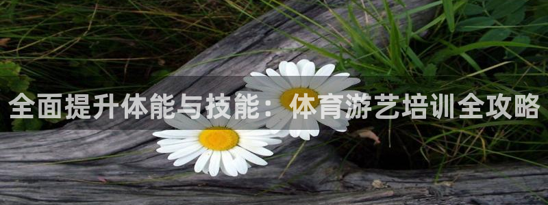 焦点娱乐官网首页下载安装：全面提升体能与技能：体育游