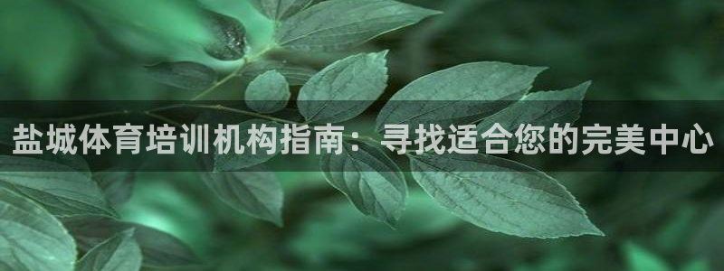 焦点娱乐直属：盐城体育培训机构指南：寻找适合您的完美