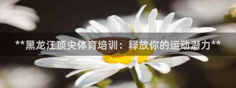 焦点娱乐平台客服电话号码查询：**黑龙江顶尖体育培训