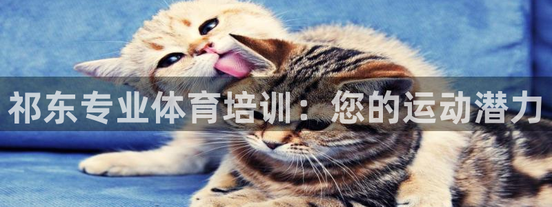 焦点娱乐星白鹿罗云熙在线磕cp：祁东专业体育培训：您
