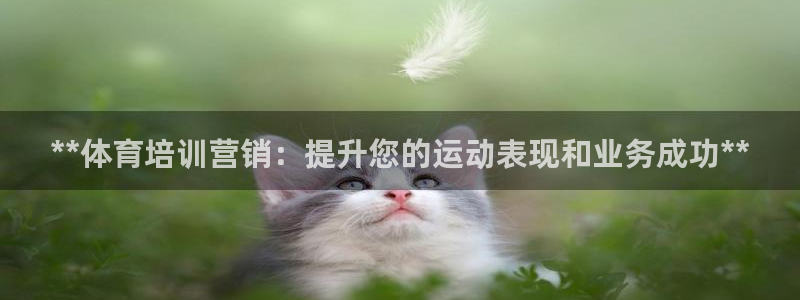 焦点娱乐官方网站下载手机版安装：**体育培训营销：提