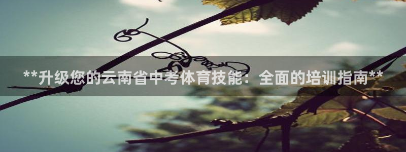焦点娱乐官方网站入口在线观看：**升级您的云南省中考