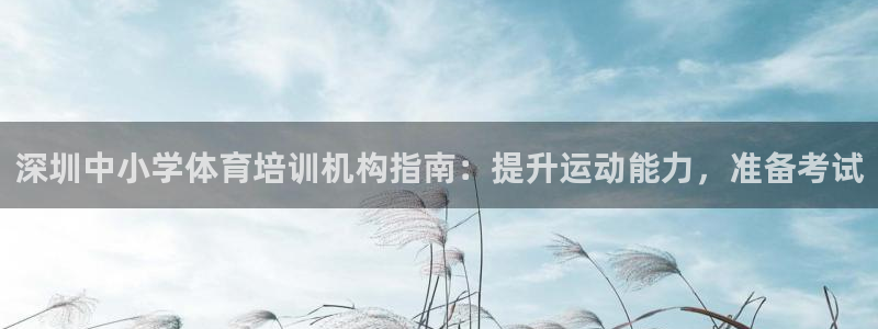焦点娱乐公司的发展历程是什么：深圳中小学体育培训机构