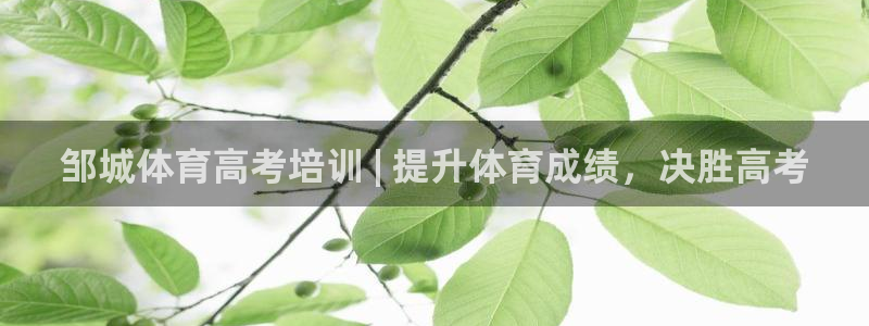 焦点娱乐公司简介资料：邹城体育高考培训 | 提升体育
