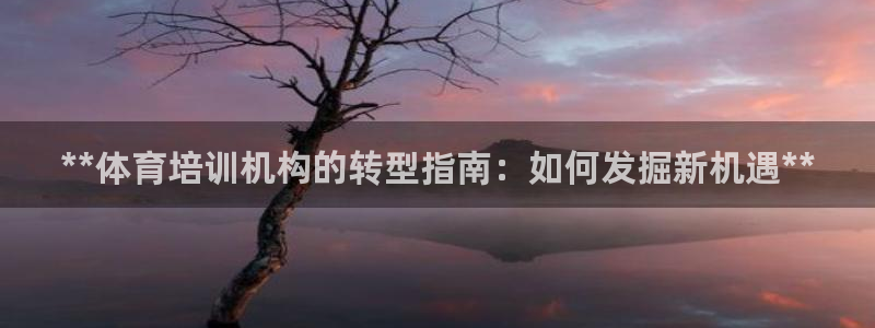 焦点娱乐：**体育培训机构的转型指南：如何发掘新机遇
